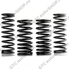Suspensie OME Nitrocharger Plus +5cm Land Cruiser 80 si 105